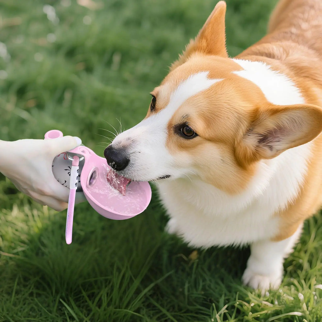 2-in-1 Portable Dog Water Bottle – Leak-Proof Travel Bottle