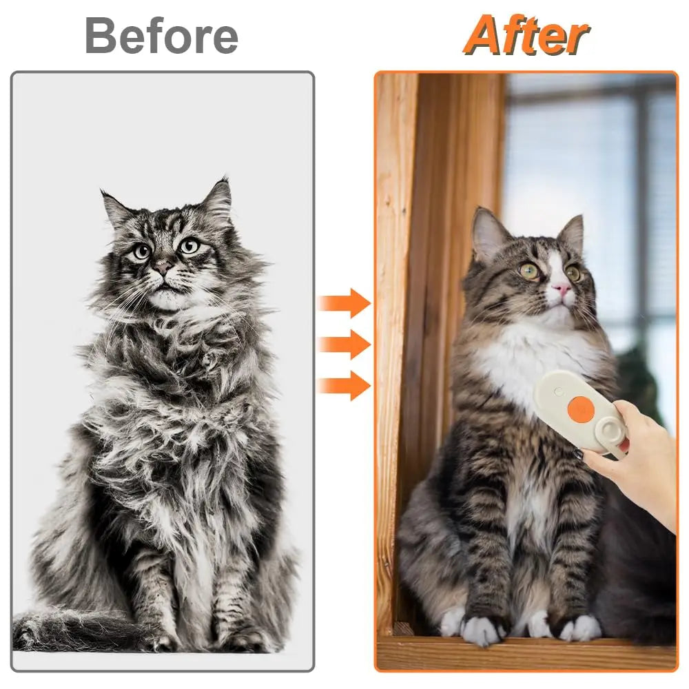 Steam Pet Grooming Brush for Cats & Dogs | Hair Removal & Massage Comb