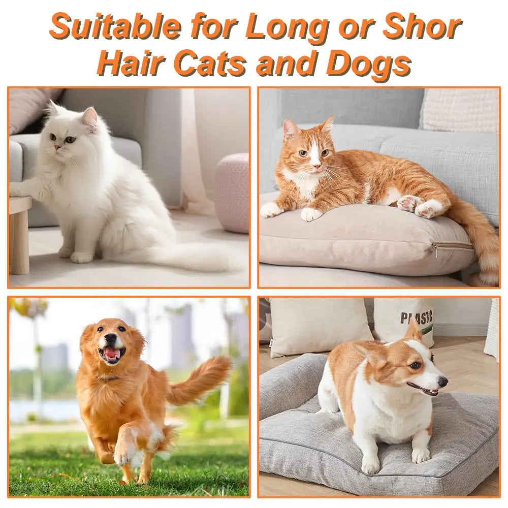 Steam Pet Grooming Brush for Cats & Dogs | Hair Removal & Massage Comb